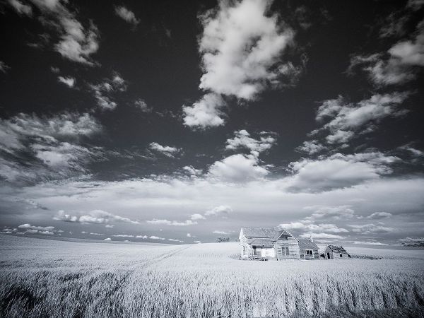 Eggers, Terry 아티스트의 USA-Washington State-Palouse Infrared of old homestead with special clouds작품입니다.